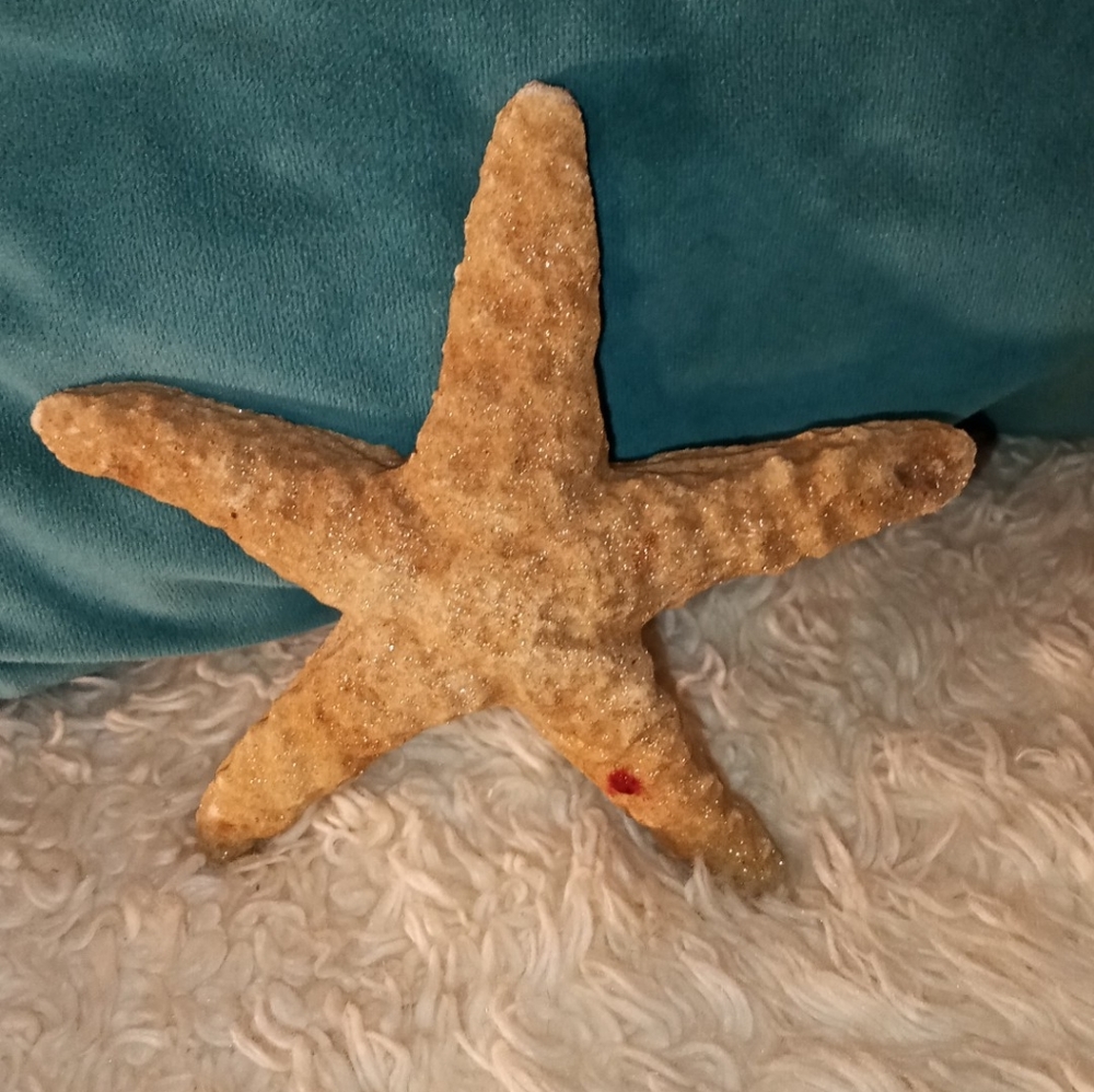Vintage star sand figurine